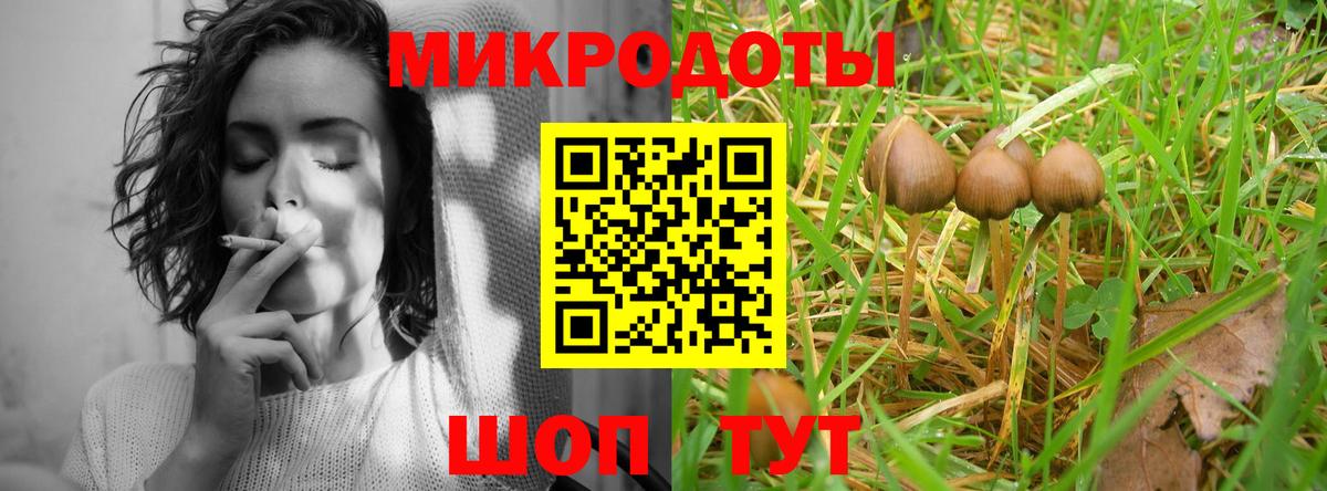 Феодосия  Псилоцибиновые грибы MAGIC MUSHROOMS  Вход с VPN 