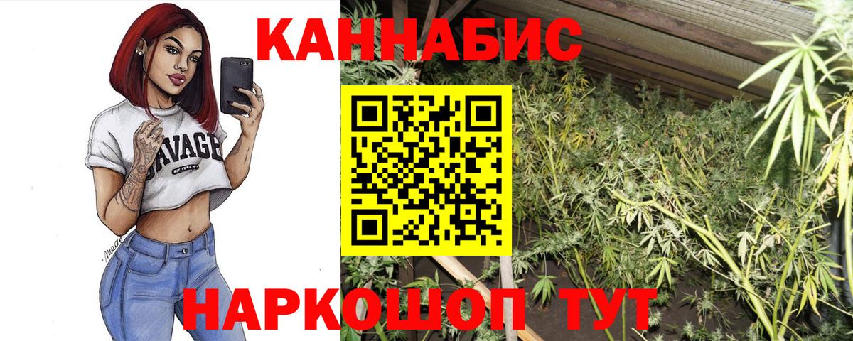 Конопля планчик Феодосия